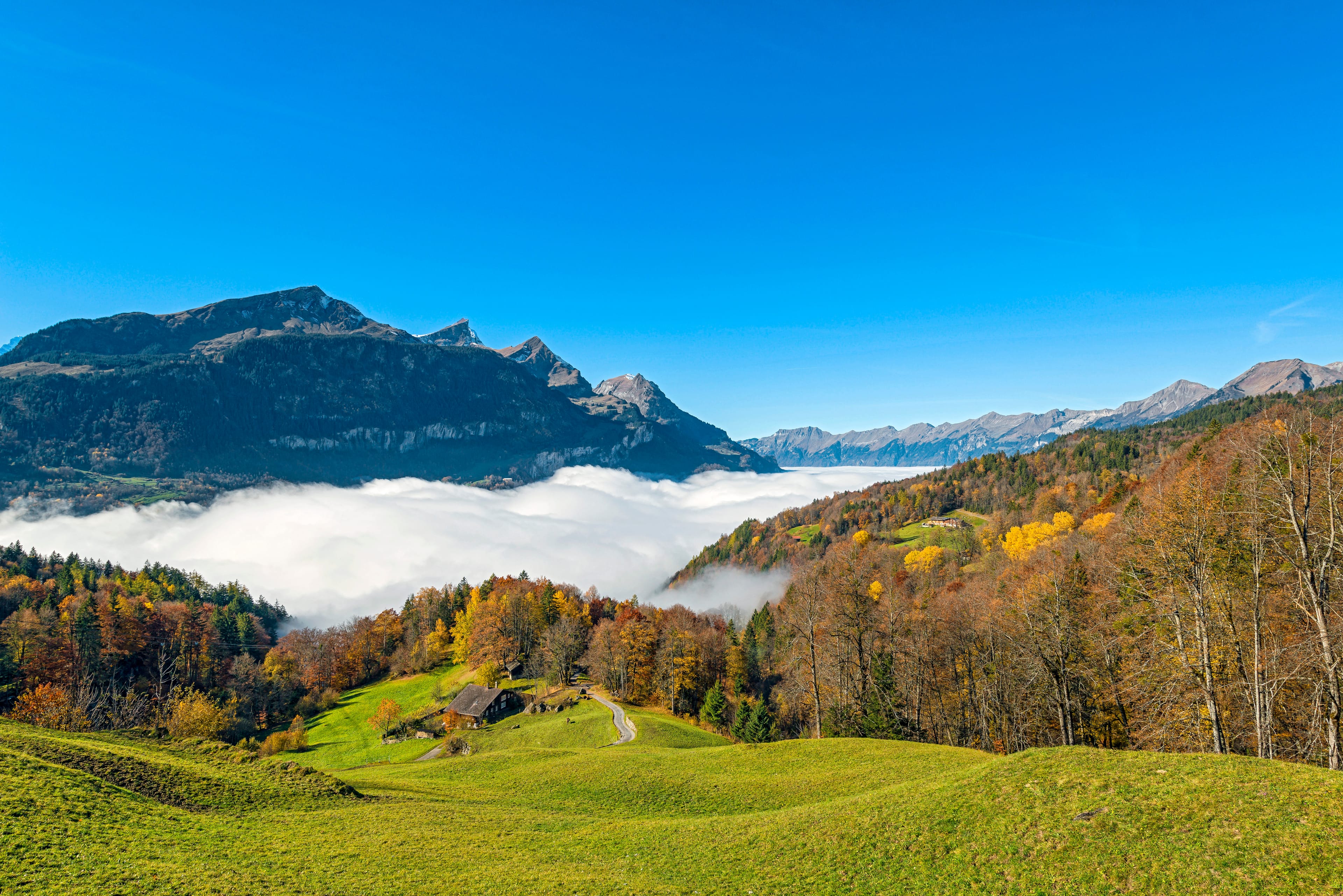 Bridge disappearing into the fog over coastal cliffs